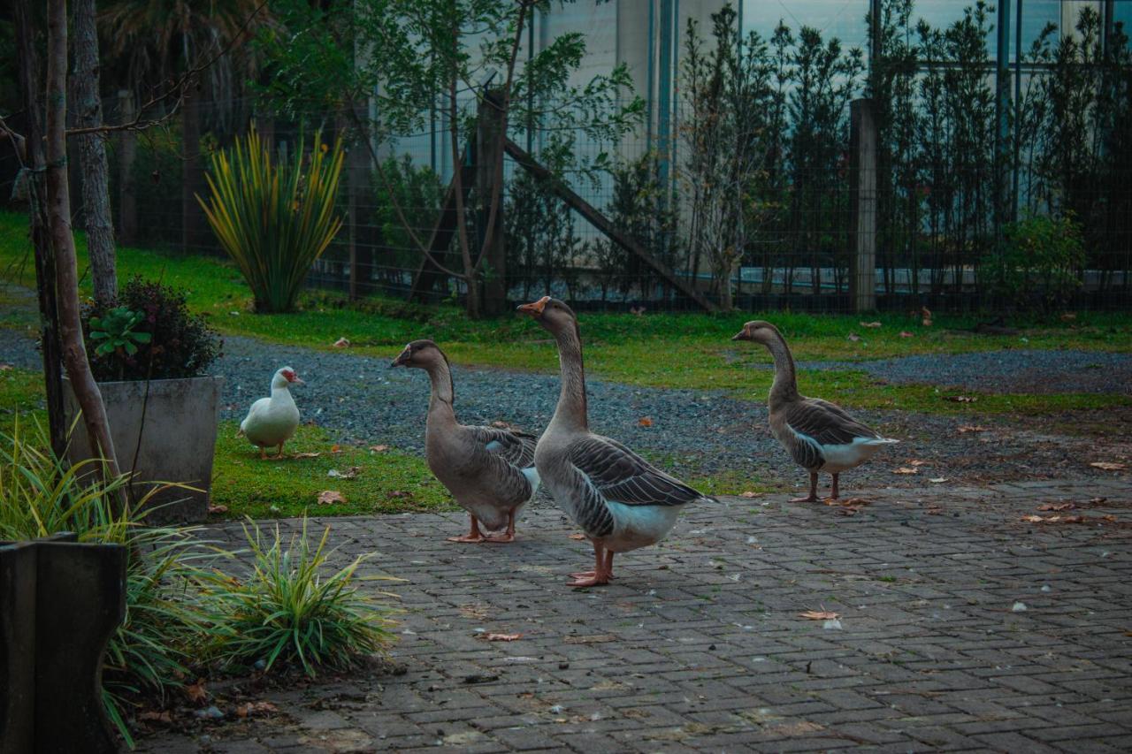 Gramado Motorpark Villa Bagian luar foto